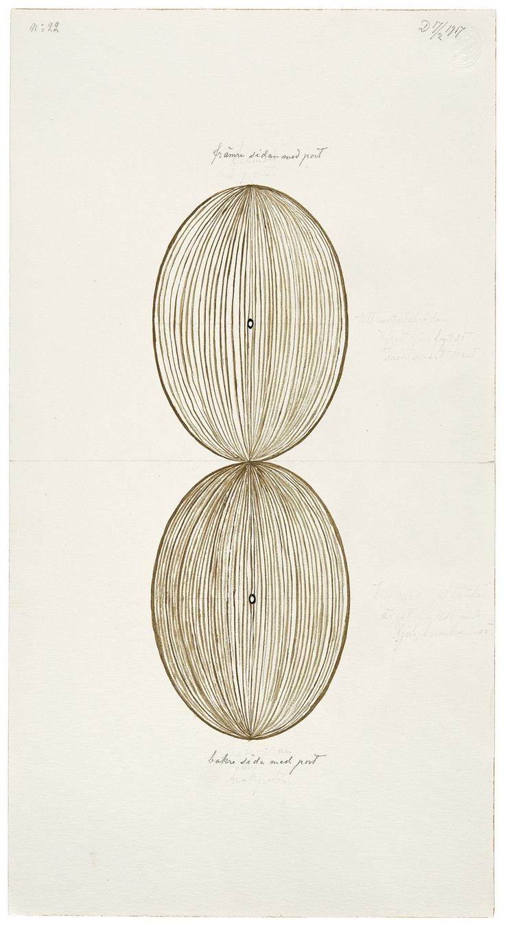 two balls are shown on top of each other in this antique illustration from the late 19th century