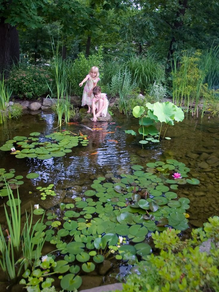 Landscape Backyard, Taman Air, Natural Swimming Ponds, Garden Pond Design, Swimming Pond, Natural Pond, Pond Landscaping, Natural Swimming Pools, Garden Idea