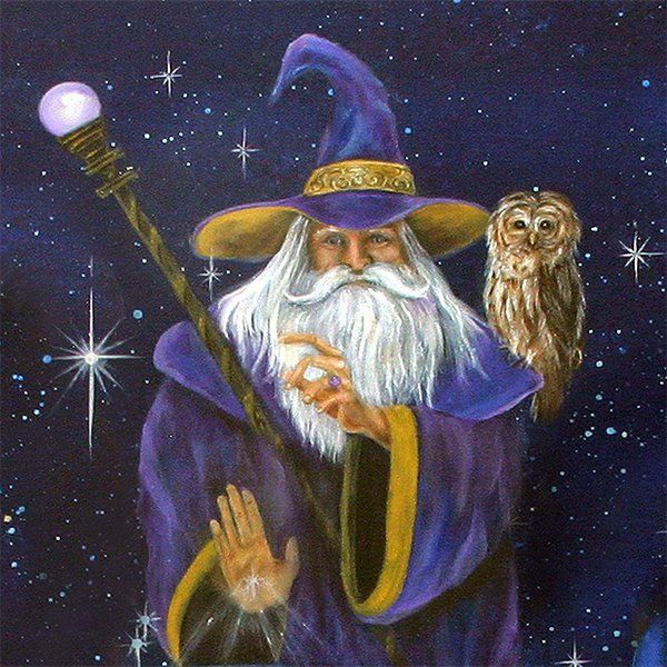 a painting of an old wizard with an owl on his arm and holding a wand