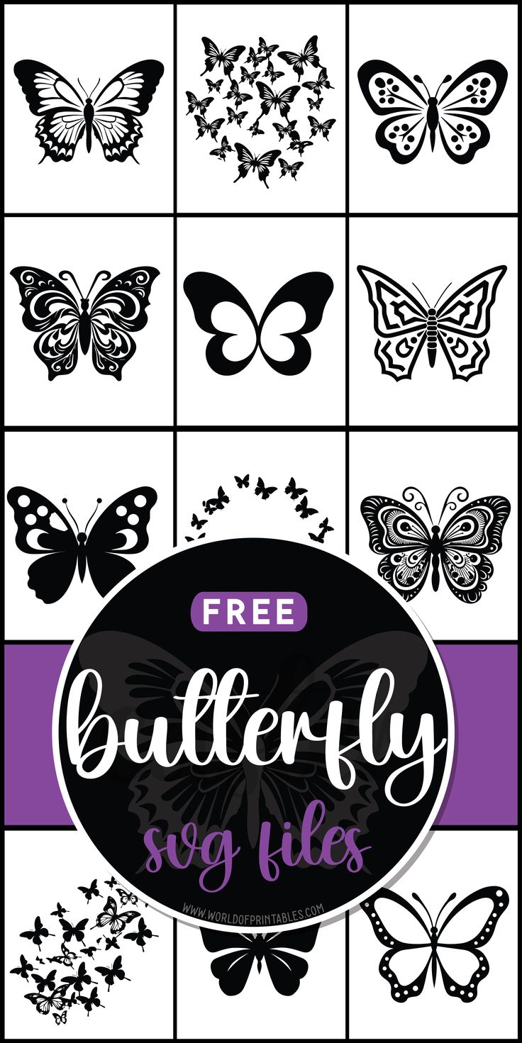 the butterfly svg files are available for free