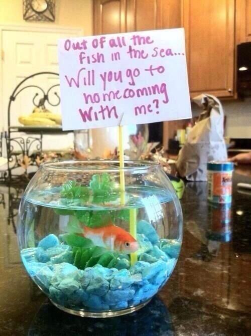 a fish bowl with a sign on it that says, out of all the fish in the sea will you go to swimming with me?