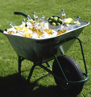 a wheelbarrow filled with lemons, limes and olives on the grass