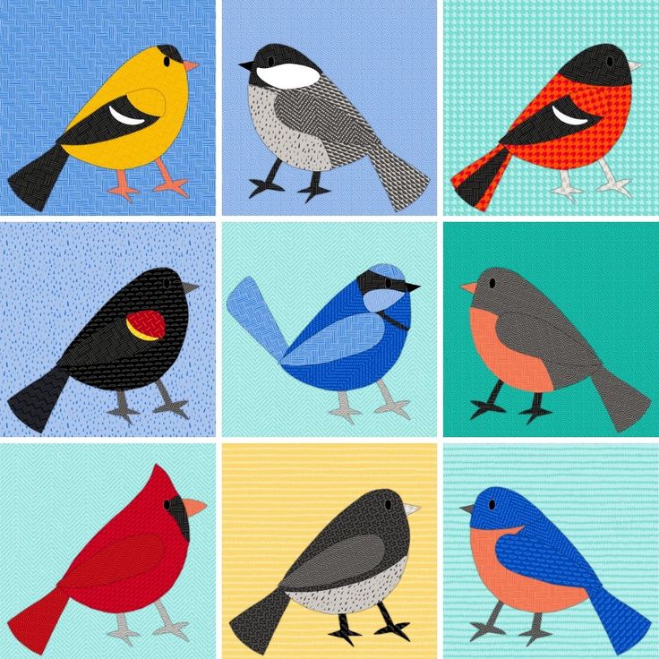 four different colored birds sitting in squares on a blue and yellow background, one is red, the other is black