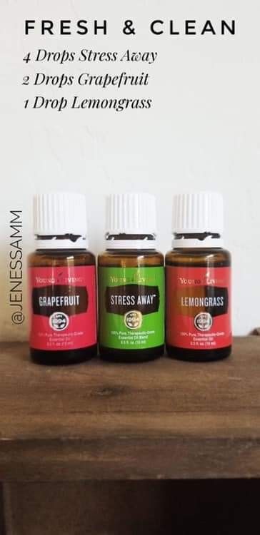 Clean Vibes, Young Living Oils Recipes, Living Oils Recipes, Essential Oils 101, Essential Oil Diffuser Blends Recipes, Young Living Essential Oils Recipes, Essential Oils Guide, Essential Oils Diffuser, Essential Oils Cleaning