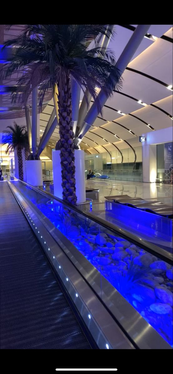 an empty airport with blue lights and palm trees