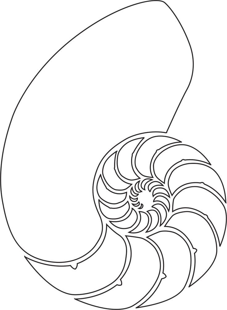 a black and white drawing of an abstract object with wavy lines in the shape of a spiral