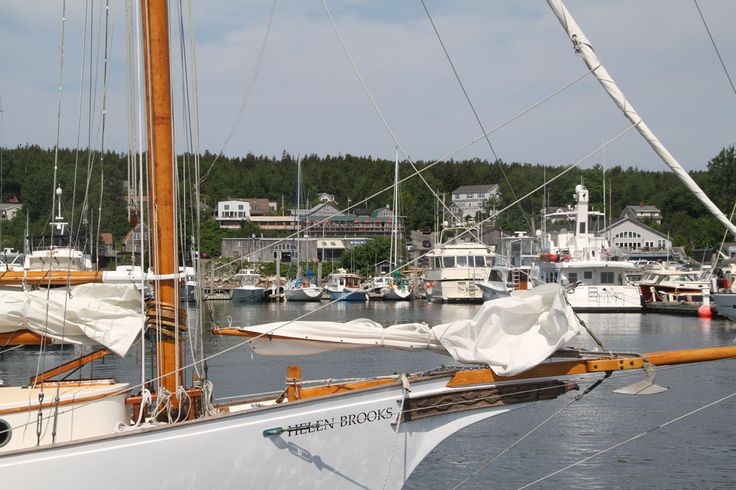 several sailboats are docked in the water