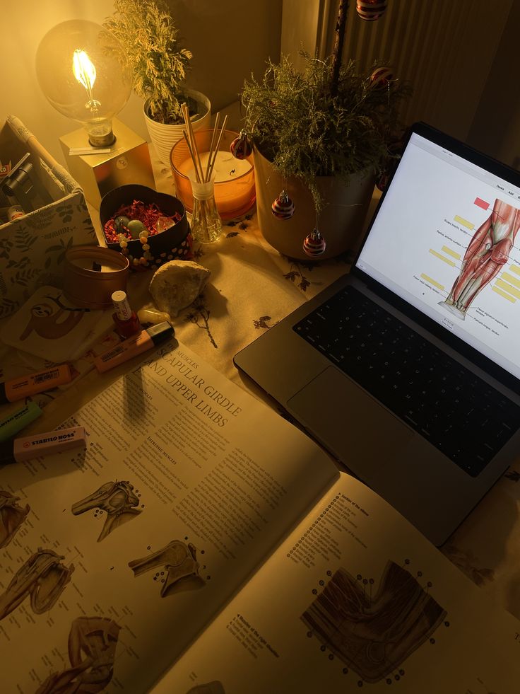 a laptop computer sitting on top of an open book next to plants and other items