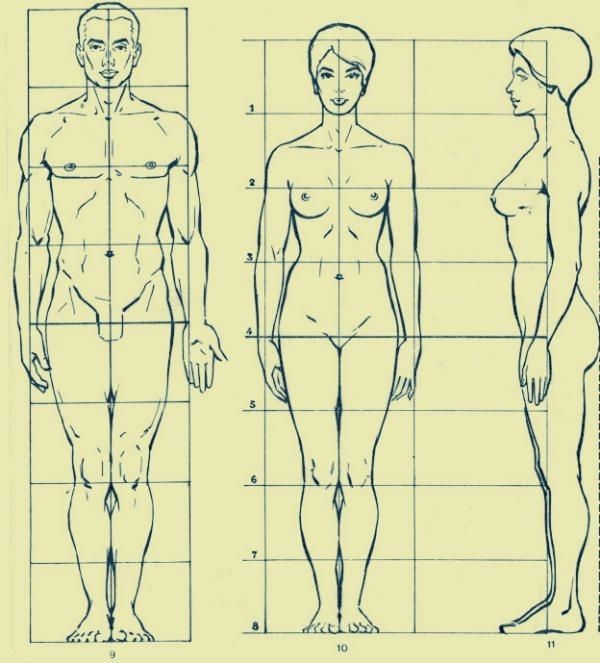 an image of a man and woman's body with the measurements for each individual