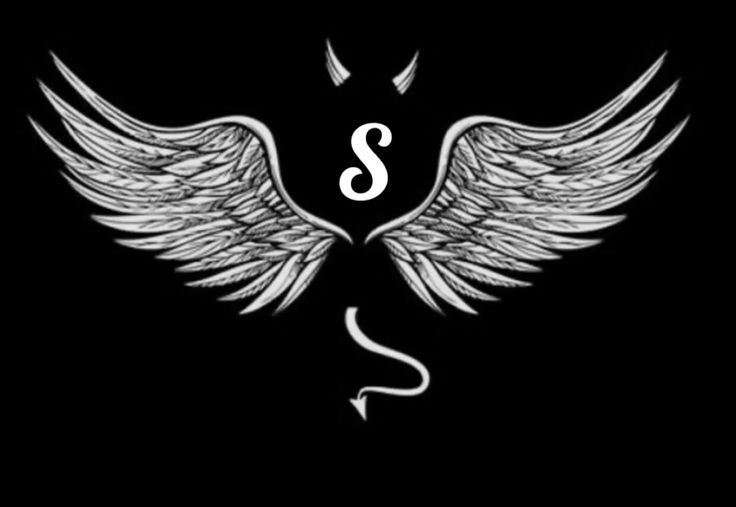 an image of wings with the letter s on it