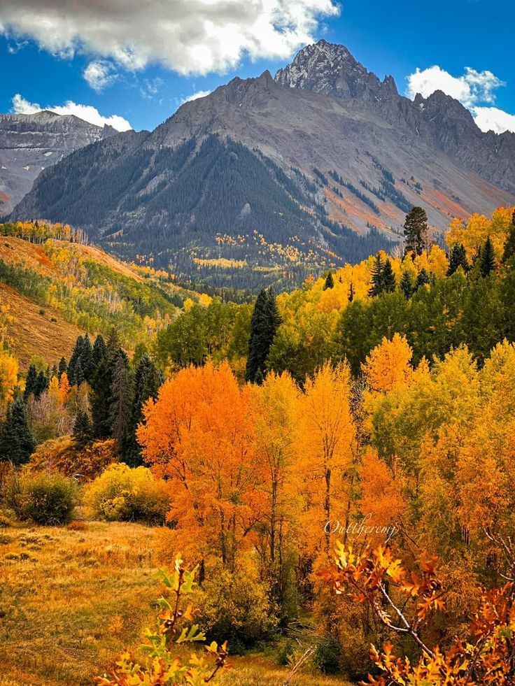 the mountains are covered in autumn foliage and trees with yellow, green, and orange leaves