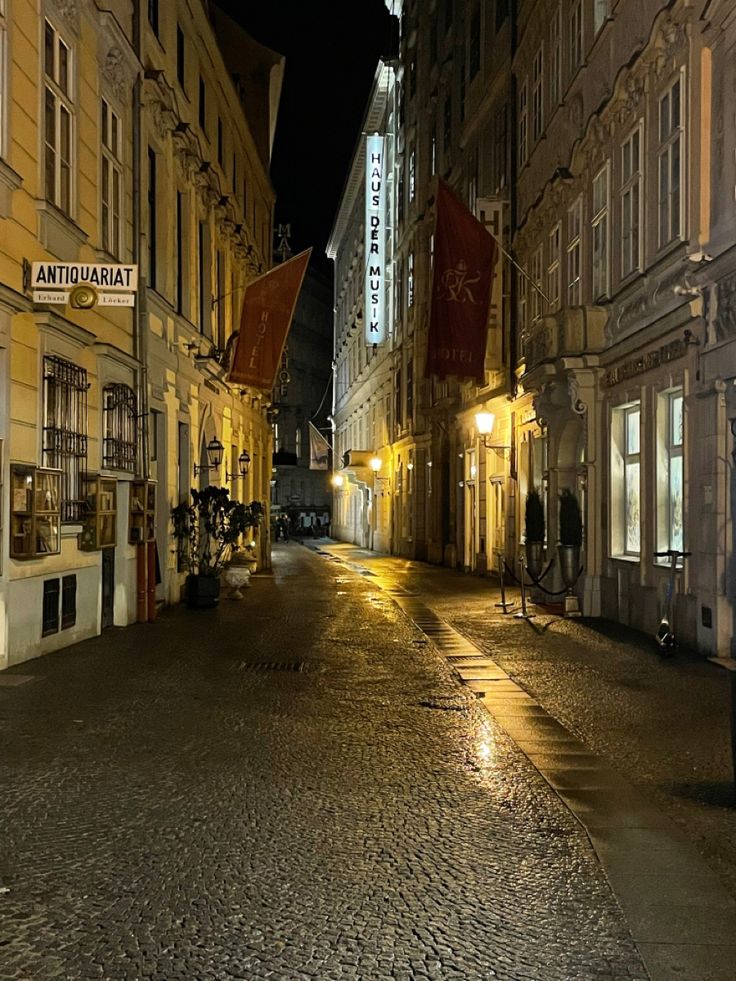 a cobblestone street at night with tall buildings on both sides and red flags hanging from the windows