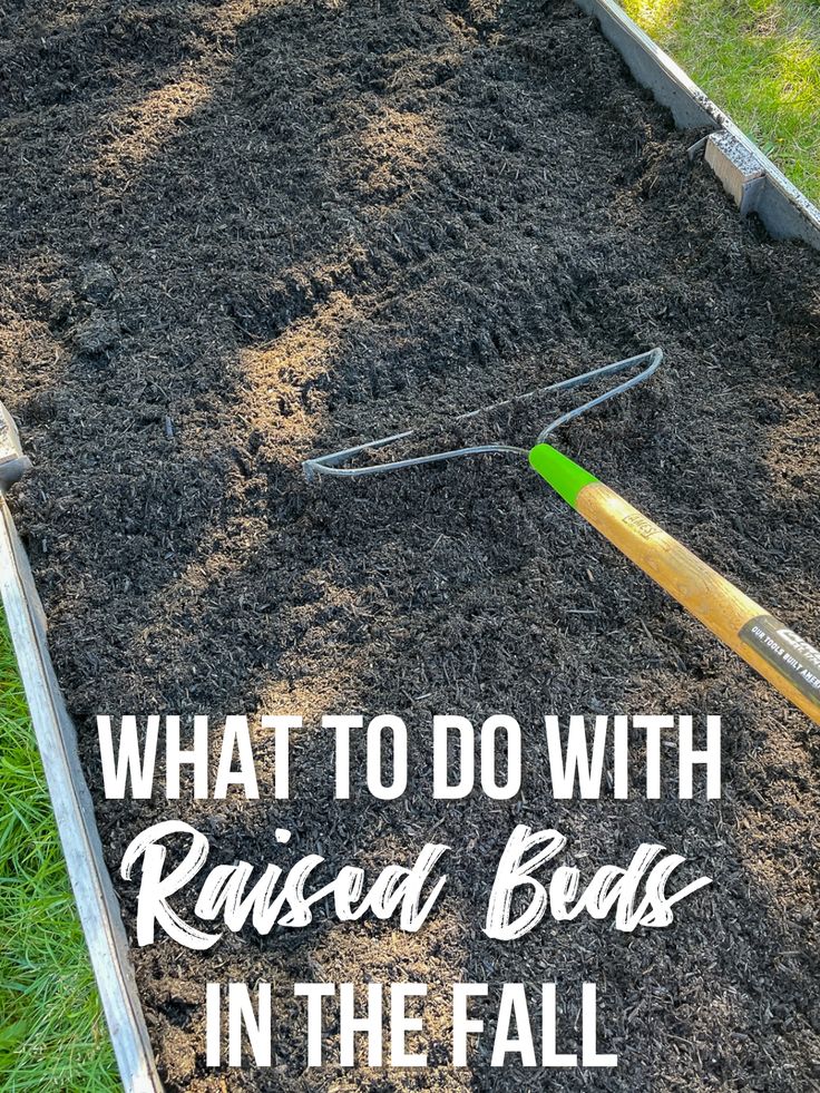 a garden bed with dirt and gardening tools in it, the words what to do with raised beds in the fall