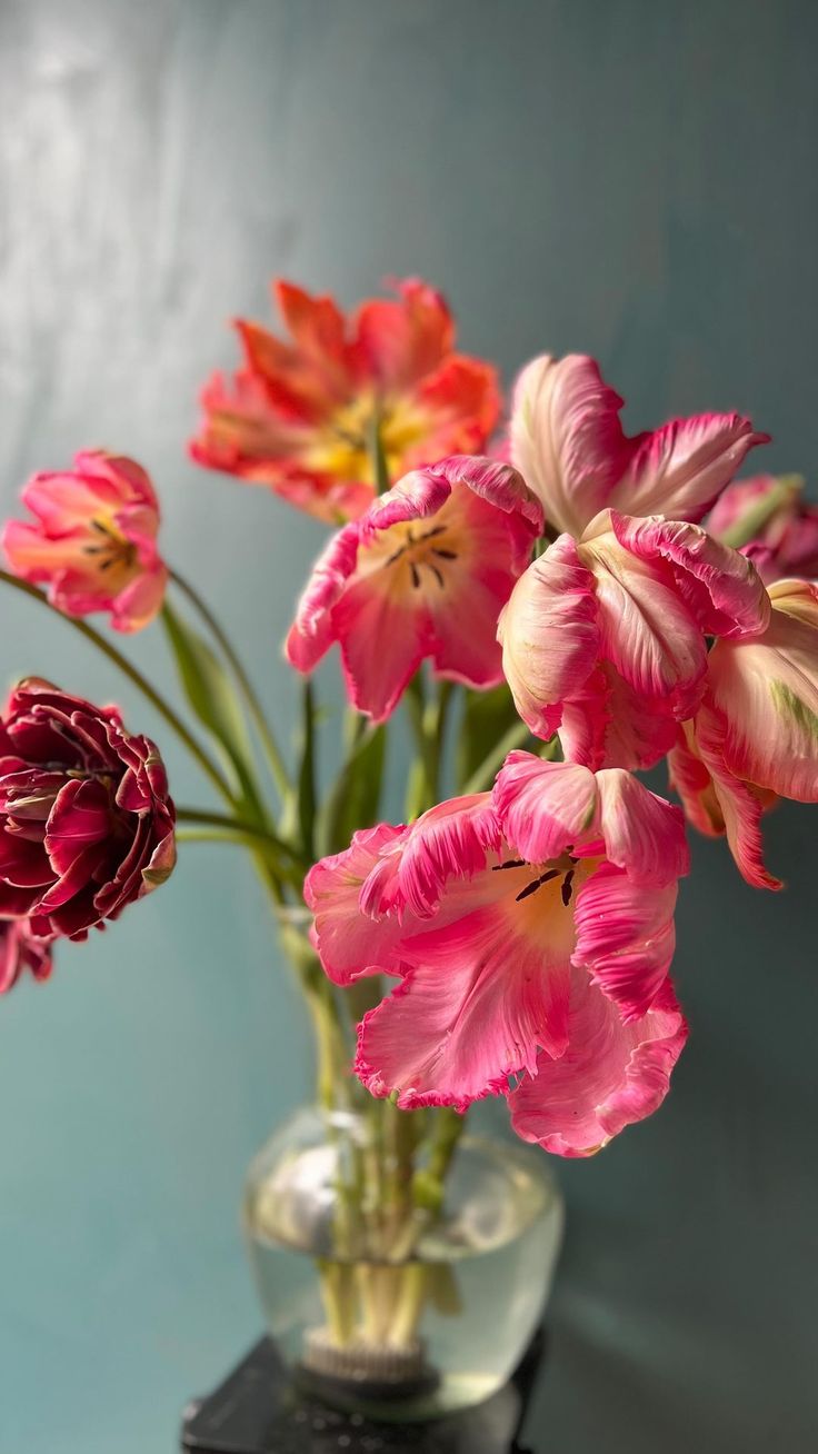 pink and red flowers in a vase on a table next to a blue wall,