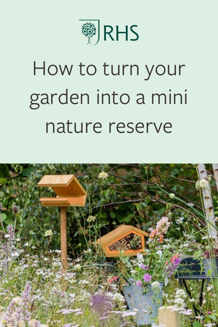 a garden with lots of flowers and plants in it, including the words rhs how to turn your garden into a mini nature reserve