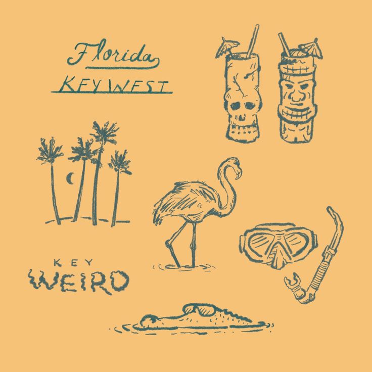 an image of various items that are drawn in blue ink on yellow paper with the words florida key weird written below them