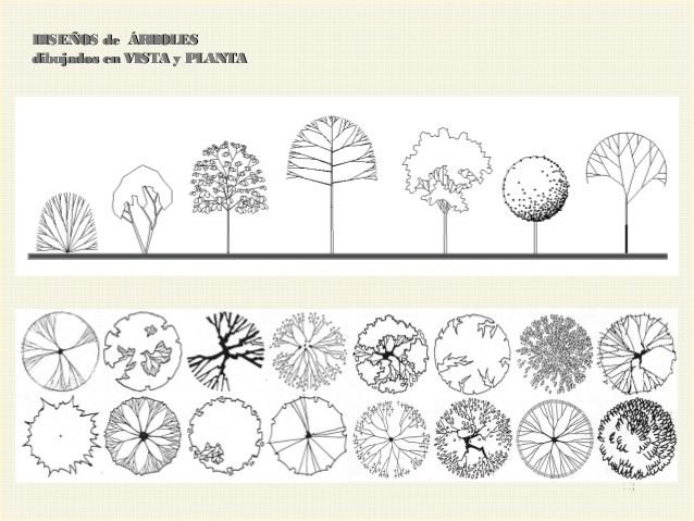 an image of trees and plants in different stages of growth, from top to bottom