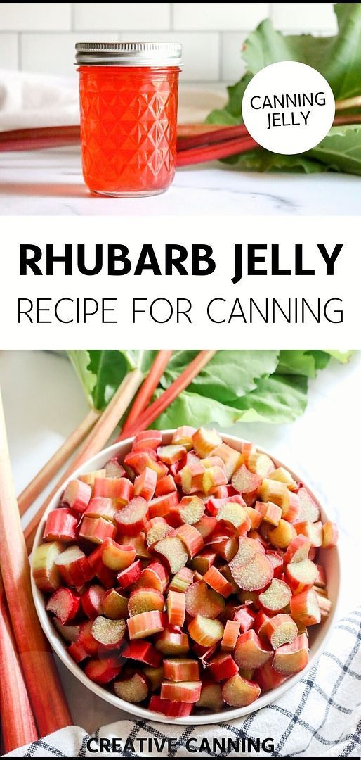 rhubarb jelly recipe for canning with text overlay that reads rhubara jelly recipe for canning