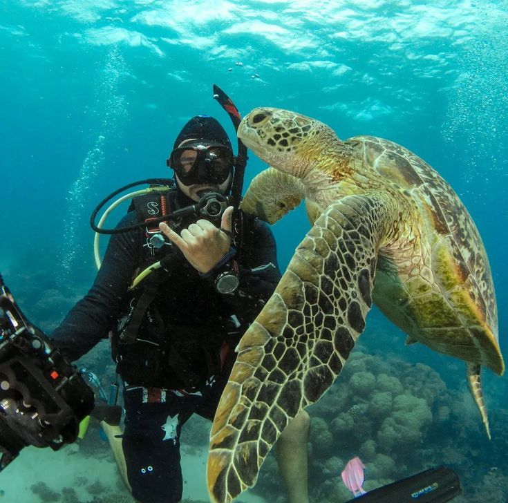 a man in scuba gear holding up a large turtle