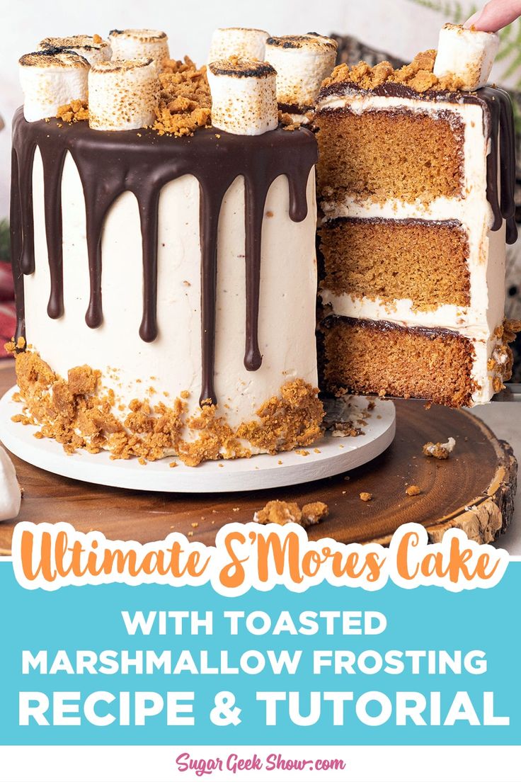 an image of a cake with chocolate frosting on it and the title overlay reads ultimate mousse cake with toasted marshmallow frosting recipe & tutor