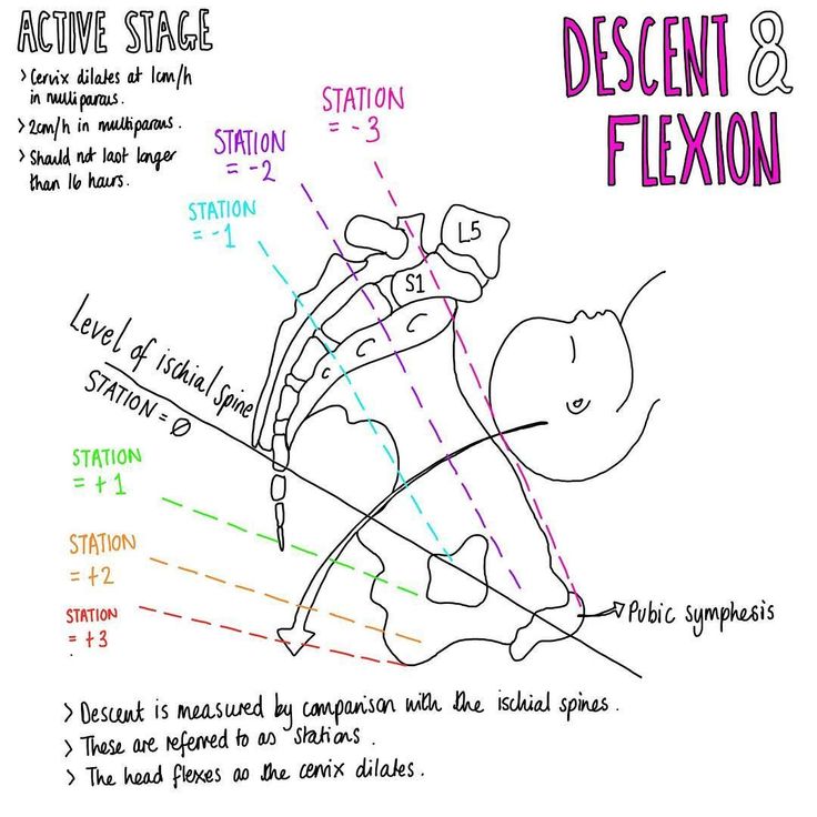 the diagram shows how to describe different types of motion and direction in an object that appears to be moving