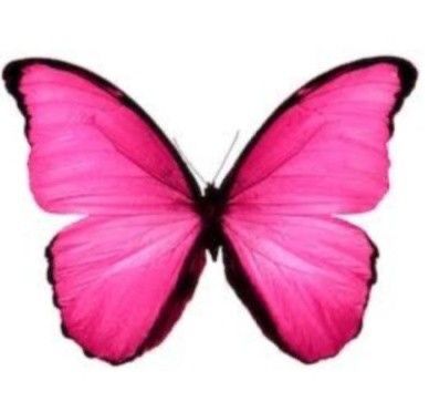 a pink butterfly flying through the air