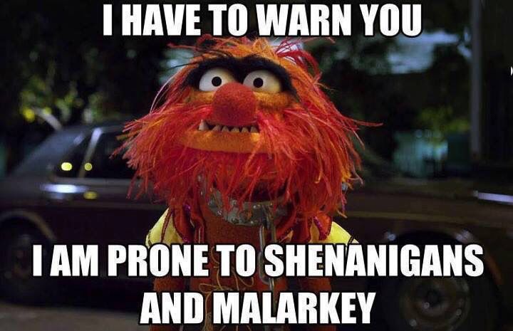 the muppet is standing in front of a car and saying, my life is 50 % wondering if it's too late to drink coffee