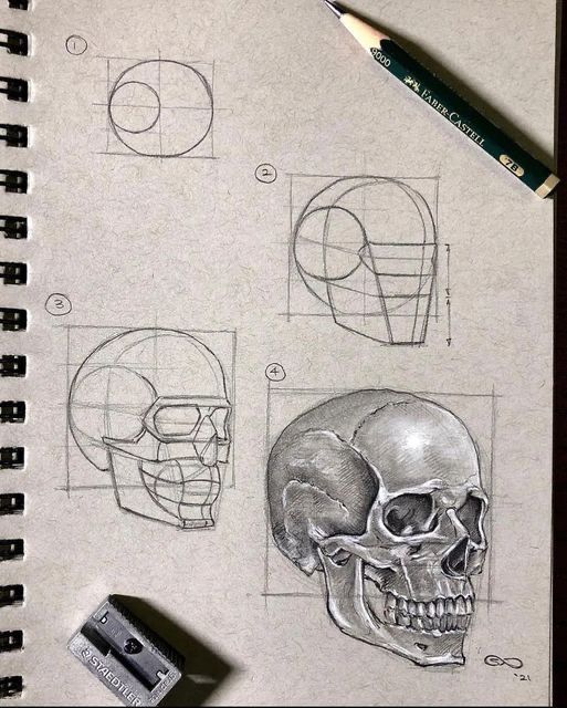 a drawing of a human skull with different angles and facial features on paper next to a pencil