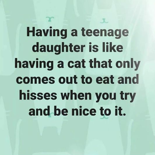 a quote that reads having a teenage daughter is like having a cat that only comes out to eat and kisses when you try and be nice to it