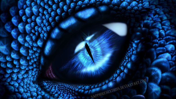 the eye of a blue dragon