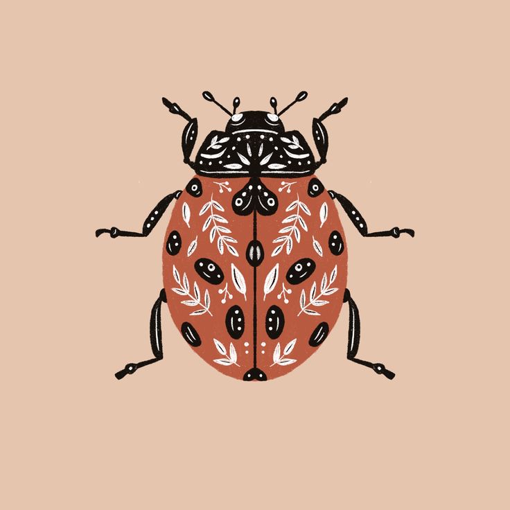 a red and black bug with leaves on it's back legs, sitting on a pink background