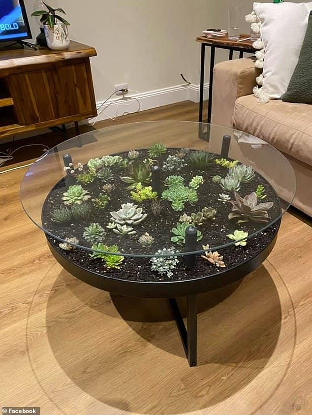 a glass table with succulents on it in the middle of a living room