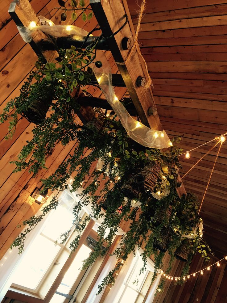 a room with wooden walls and plants hanging from the ceiling, along with string lights