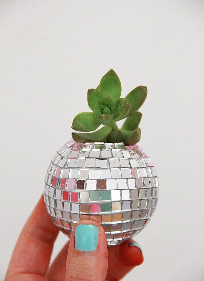 a hand holding a small silver disco ball with a succulent plant in it