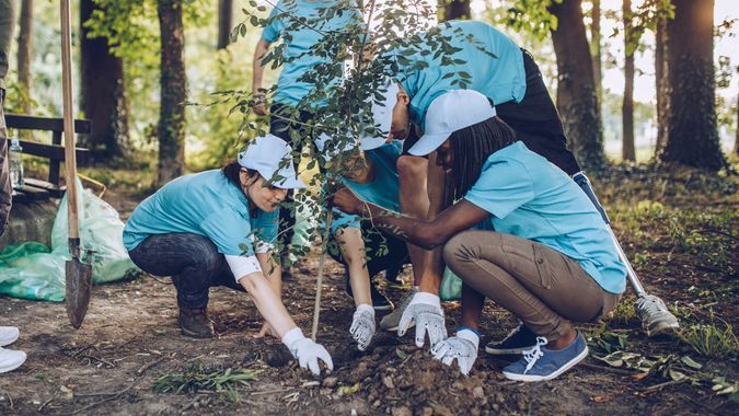 two women are planting trees in the woods