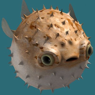 a puffer fish with big eyes and spikes on it's head