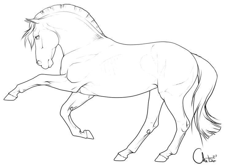 a drawing of a horse that is running