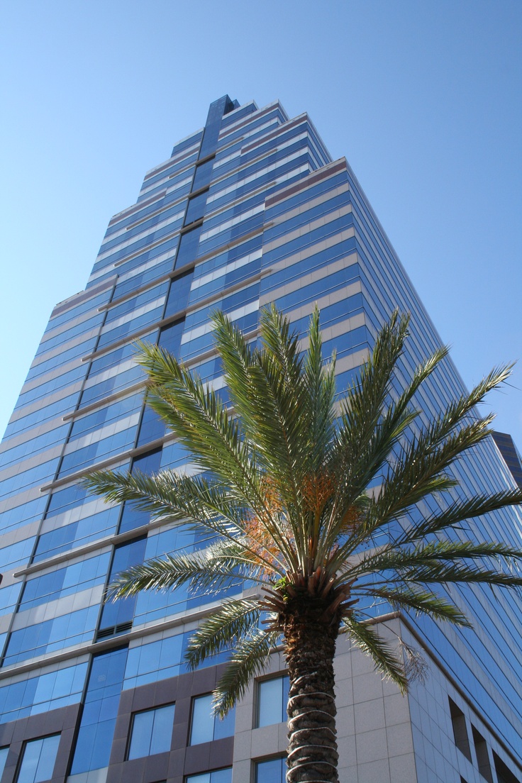 a palm tree in front of a tall building with blue glass on the windows and sky behind it