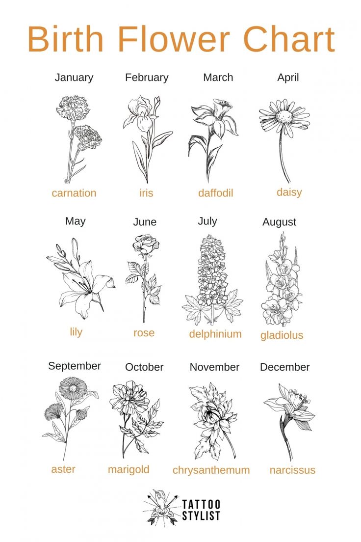 the birth flower chart is shown in black and white