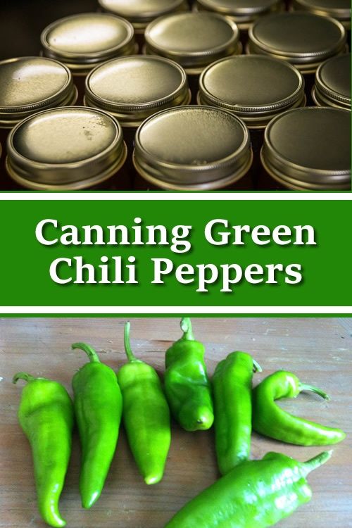 green chilli peppers sitting on top of a wooden cutting board next to tins