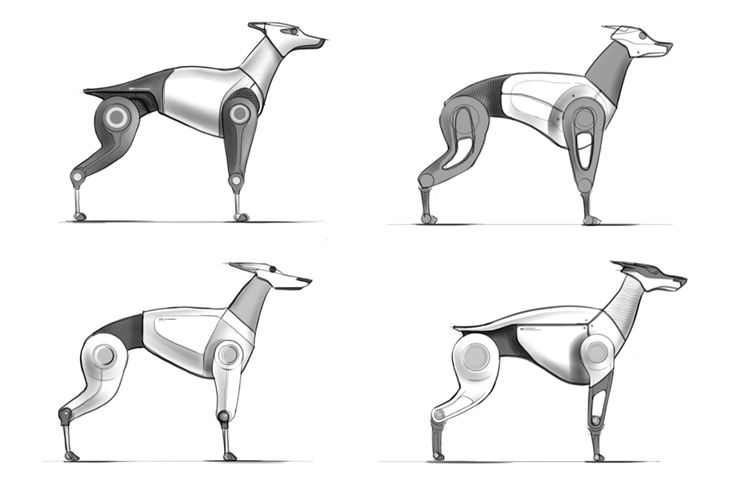 four different types of dog sculptures in various positions and shapes, each with an individual's head