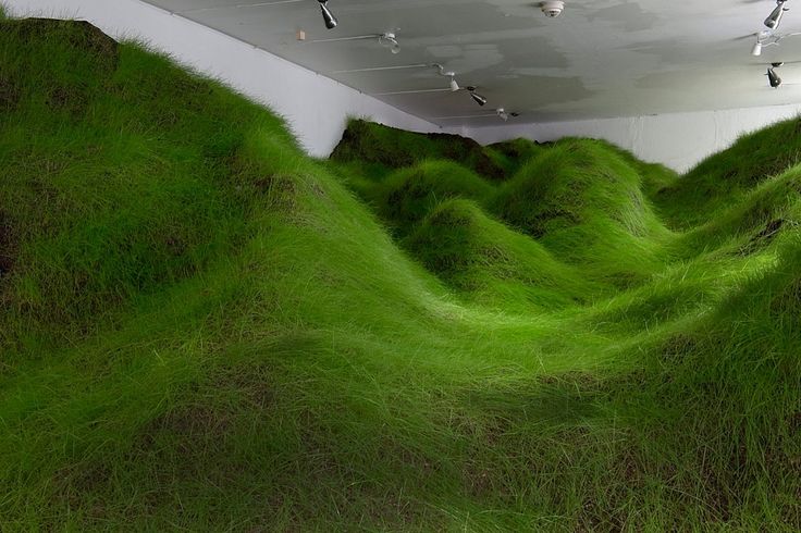 an art installation with grass growing on the ground