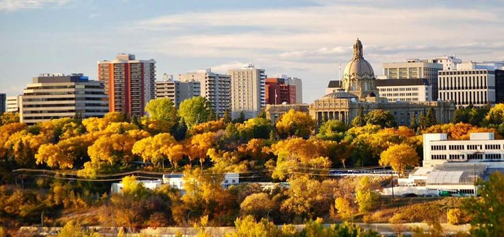 the city is full of tall buildings and trees with yellow leaves on them, in autumn