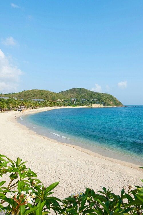 a sandy beach with blue water and green trees