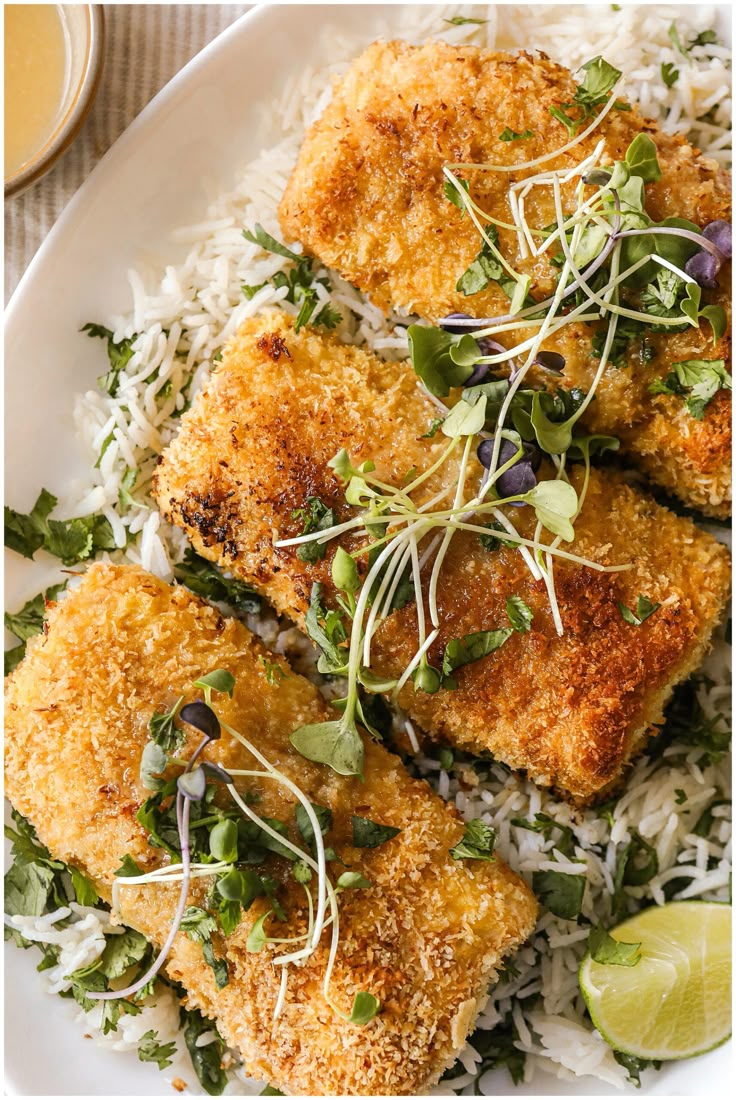 fish fillets with rice and cilantro garnish on a white plate