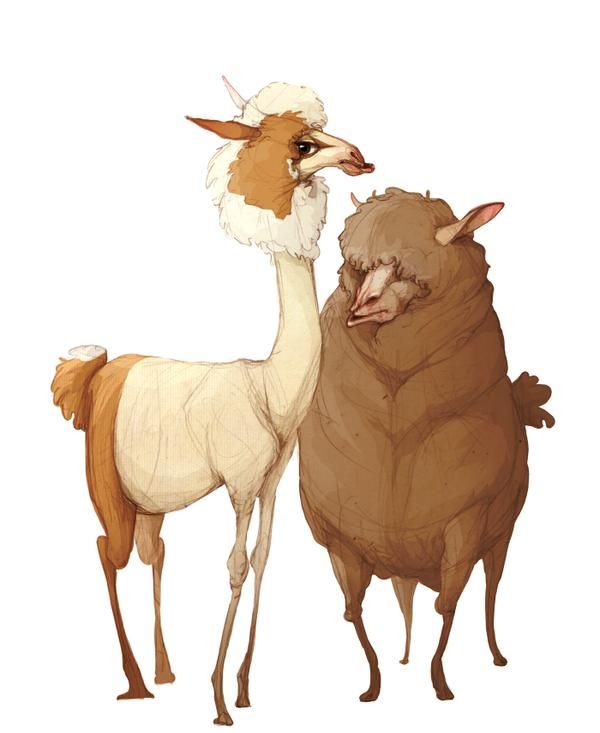 two llamas standing next to each other on a white background