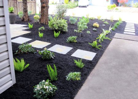 a garden with black mulch and green plants on the ground next to a tree