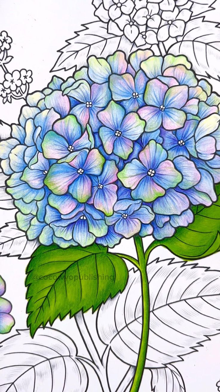 a drawing of a blue flower with green leaves