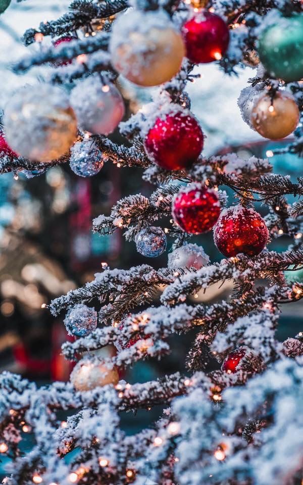 the christmas tree is covered in snow and ornaments are hanging from it's branches