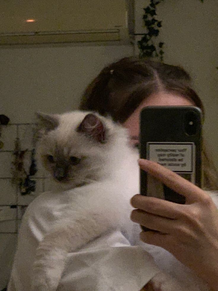 a woman taking a selfie with her cell phone and cat on her lap in front of her